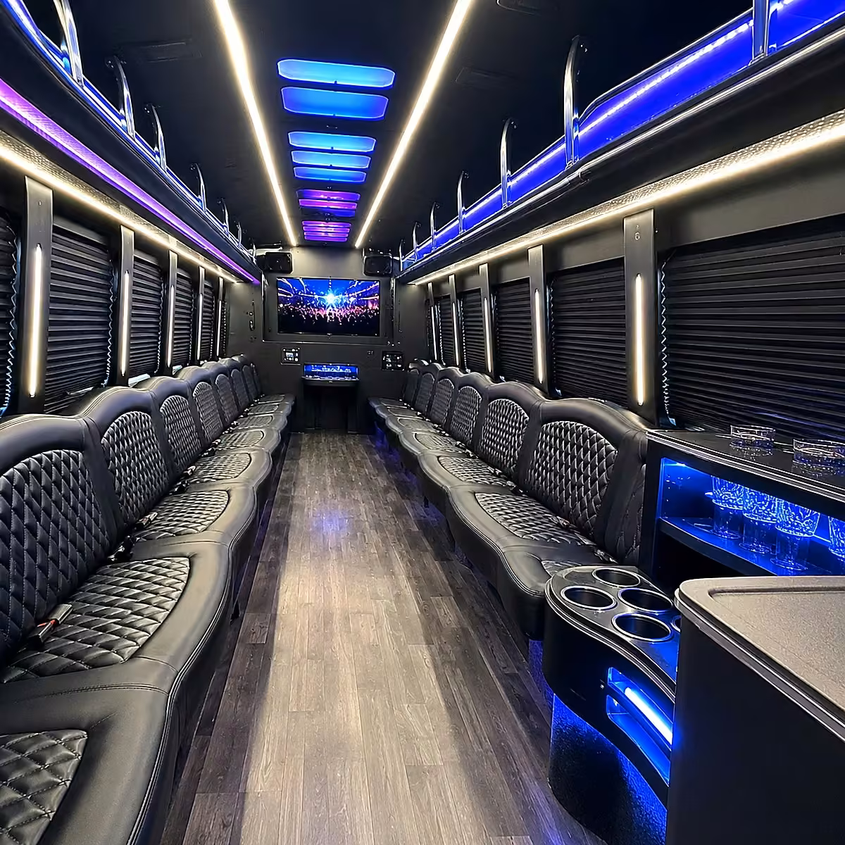 30 passenger party bus interior