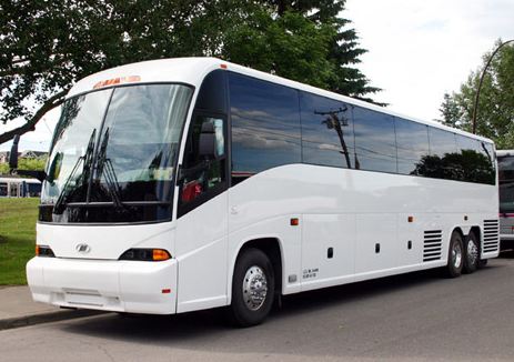 Naples 50 Passenger Charter Bus